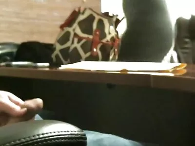 ਵੈਬਕੈਮ 'ਤੇ ਆਪਣੇ ਆਪ ਨੂੰ ਲੁਭਾਉਣ ਵਾਲੀ ਕਾਮੁਕ ਕੁੜੀ
